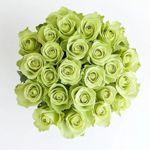 Miniatura 13 de GlobalRose Ramo de 36 rosas rojas, rosas de origen responsable, flores frescas, ramo fresco de flores seleccionadas a mano para graduación, Rojo