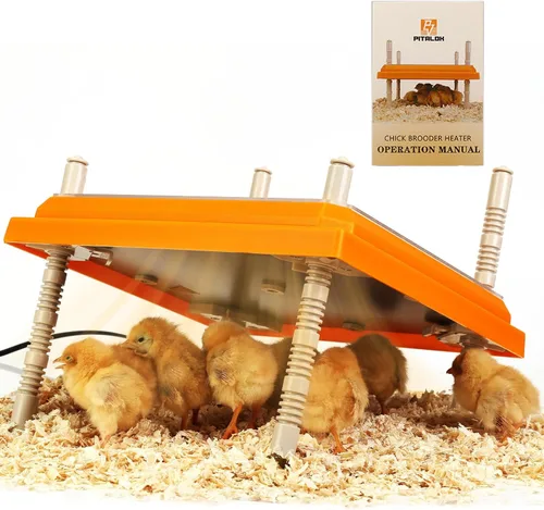 Miniatura 8 de Calentador de criador para pollitos: placa calefactora de pollos con placa de fácil limpieza, calentador de gallinero para aves de corral