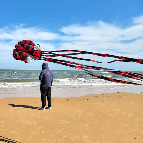 Mint's Colorful Life Octopus Kite for Kids and Adults, Large 3D Software Octopus Kites with Long Tails, Huge Easy Flyer Kites for Beach Trip Family