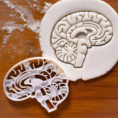 Miniatura 2 de Cortador de galletas anatómico Brain, 1 pieza - Bakerlogy