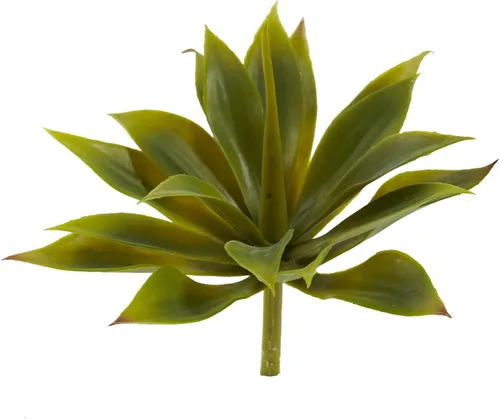 Miniatura 2 de Nearly Natural 6110-S12 Planta suculenta de agave, mini, juego de 12