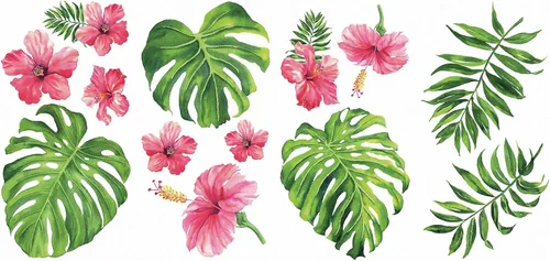 RoomMates Vinilo decorativo para pared, diseño de flor de hibisco tropical, vinilo, fabricado en Estados Unidos