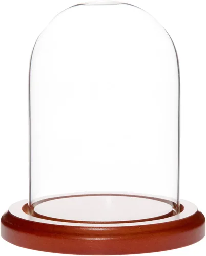 Miniatura 9 de Plymor Cúpula de cristal de 3" x 4" (base de chapa de roble)