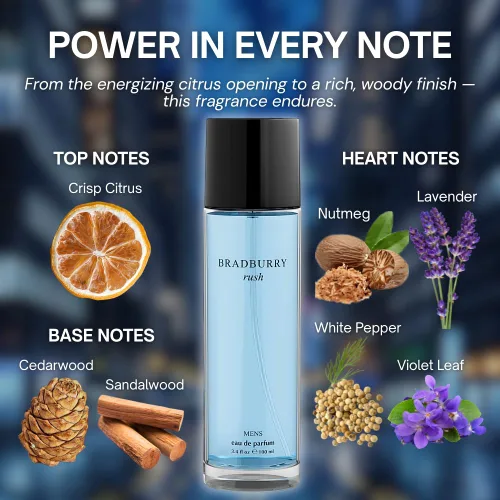 Miniatura 3 de Sandora Fragrances Perfume para hombre – Inspirado en un perfume para hombre reconocido mundialmente – Artemisia, hoja de violeta, nuez moscada