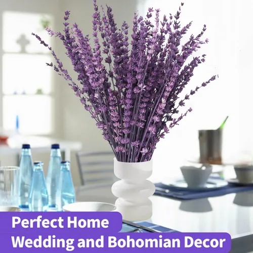 Miniatura 6 de Ramo de flores de lavanda púrpura secas Glicrili - Ramo de lavanda preservada y seca 15-17" para decoración de jarrones en casa, manualidades