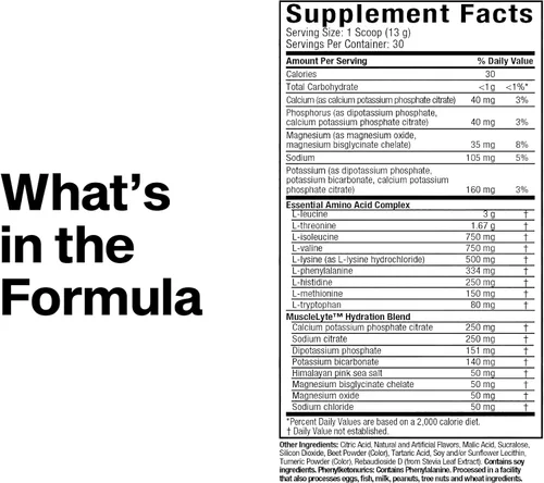 Miniatura 7 de MuscleTech Platinum - Suplemento de aminoácidos esenciales con electrolitos, sabor ponche de frutas - Polvo pre-entrenamiento para energía