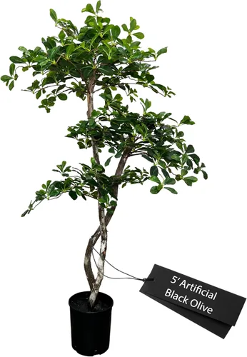 Miniatura 10 de Cypress & Alabaster Árbol artificial de hoja de olivo negro italiano hecho a mano de 4 pies con troncos de madera real de origen ético