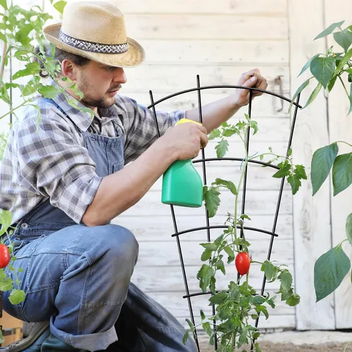 Miniatura 3 de Thealyn Paquete de 4 enrejados de plantas de interior de 23 pulgadas para plantas en macetas que trepan, enrejado de metal al aire libre, plantas