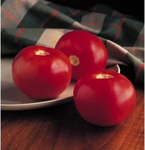 Bobcat - Semillas de tomate híbridas (45 semillas) para plantar, granja, cultivo en jardín, invernadero, vegetales, frutas