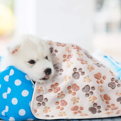 Miniatura 5 de Tatuo Paquete de 4 mantas de forro polar para perros cachorros y gatos, tapete de dormir de varios tamaños para mascotas, conejillos de indias, Beige