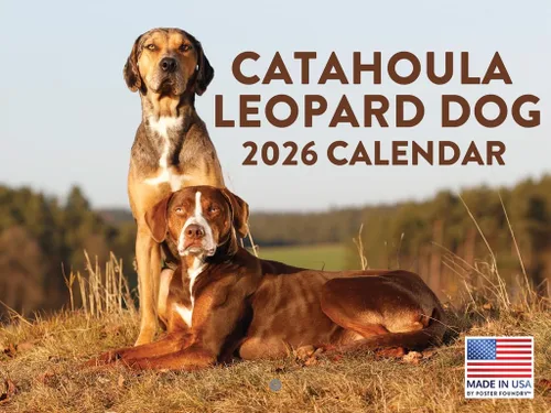 Miniatura 212 de Calendario de pared mensual 2025 Great Dane de 12 meses, fabricado en Estados Unidos