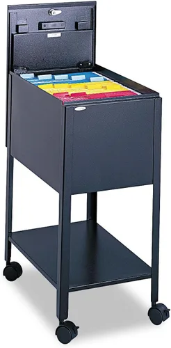 Scranton & Co Archivo de bañera móvil estándar de metal contemporáneo de 28 pulgadas de alto con cerradura y estante de almacenamiento inferior,