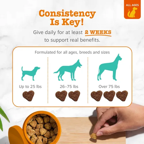 Miniatura 4 de Zesty Paws Masticables calmantes para perros - para el estrés diario, relajación, compostura y separación, mantequilla de maní 50