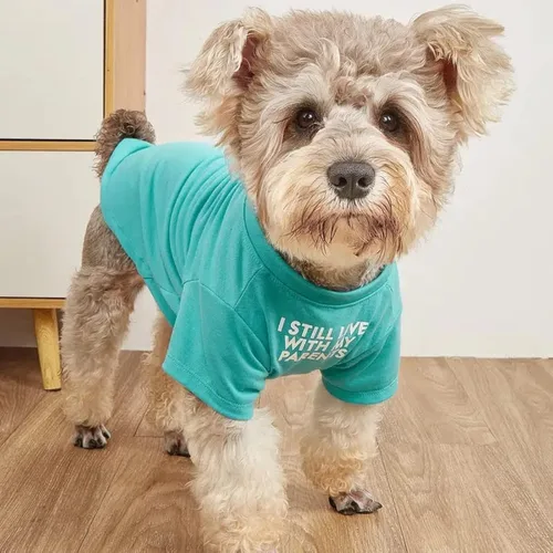 Miniatura 6 de Linda ropa para perros, camiseta para perros medianos y pequeños, hembra y macho, cachorro. Disfraz suave y transpirable para mascotas, perros