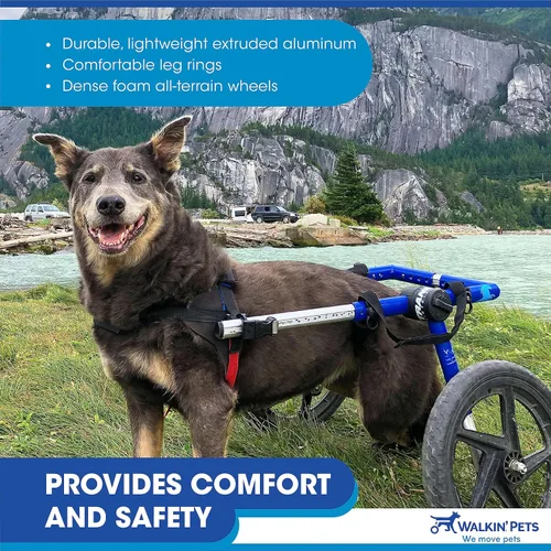 Miniatura 7 de Walkin' Wheels Silla de ruedas para perros, para perros medianos y grandes, de 50 a 69 libras, aprobada por veterinarios, silla de ruedas para Azul