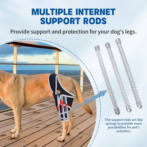 Miniatura 6 de Rodillera para perro para desgarro de la pierna trasera, alivia lesiones de ligamentos y dolor en las articulaciones, soporte ajustable para piernas