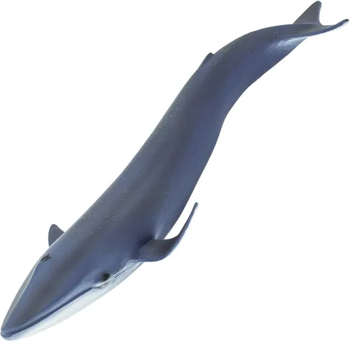 Miniatura 6 de Safari Ltd. Figura de ballena azul, figura detallada de plástico de 11 pulgadas, divertido juguete educativo para niños, niñas y niños a partir de 3