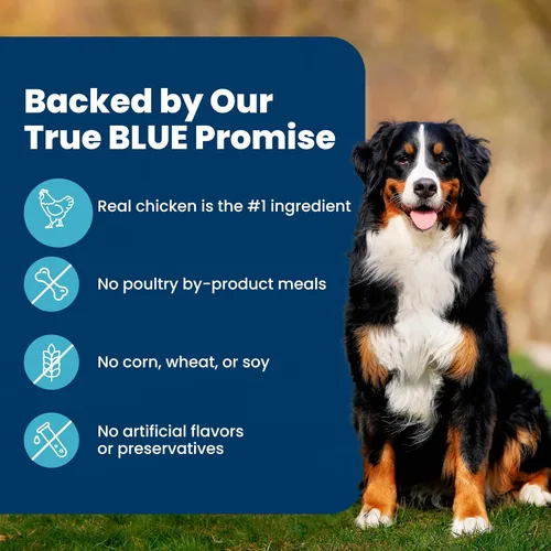 Miniatura 6 de Blue Buffalo Life Protection Formula Alimento Seco para Perros Adultos, Ayuda a Desarrollar y Mantener Músculos Fuertes, Hecho con Ingredientes