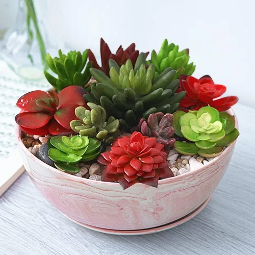 Miniatura 12 de G EPGardening Macetas Bonsai, Maceta de Cerámica de 8 Pulgadas con Patrón de Mármol y Orificio de Drenaje y Platillo para Plantas, Maceta Grande