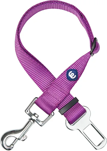 Blueberry Pet Essentials - Colección clásica de productos esenciales con más de 30 colores lisos - Collares regulares, collares personalizados y