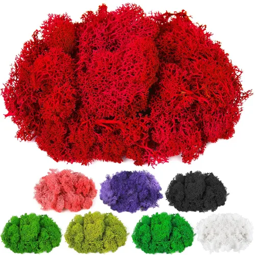 CCINEE Musgo preservado, musgo de reno falso de 4 onzas para plantas en maceta para manualidades, decoración floral de pared, centros de mesa de