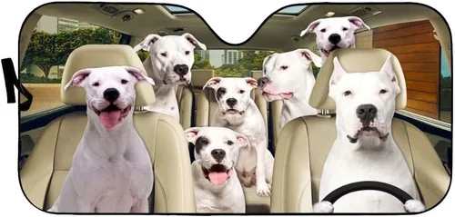Parasol para parabrisas Dogo Argentino, protector solar con protección solar y mantiene tu automóvil fresco para la mayoría de los sedanes, SUV,