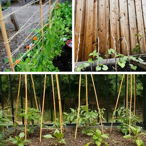 Miniatura 4 de Cambaverd Cuerda de yute natural de 200 pies, 0.118 in, 4 capas, cuerda para plantas trepadoras, jardinería, manualidades, regalos, envoltura