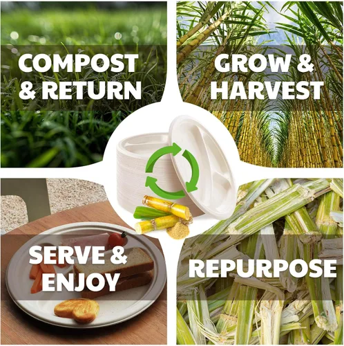 Miniatura 3 de Platos de papel compostables de 3 compartimentos, 125 unidades, 10 pulgadas, bandejas divididas desechables resistentes para el almuerzo, platos