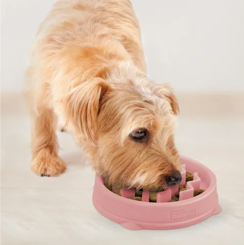 Miniatura 6 de Outward Hound Comedero Pequeño Divertido de Alimentación Lenta, Rompecabezas para Comedores Rápidos, Cachorros, Gatos y Perros Pequeños, Comida Rosa