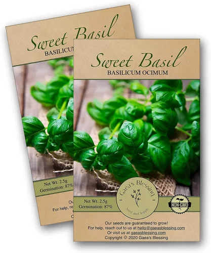 Miniatura 3 de Gaea's Blessing Semillas – Semillas de albahaca dulce – Hoja grande italiana de hoja grande de Pesto genovés de polinización abierta de alto