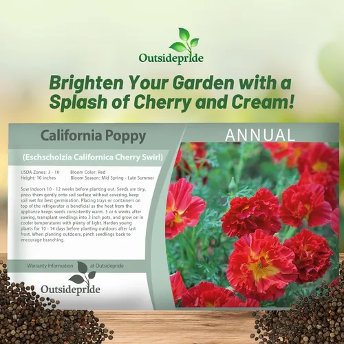 Miniatura 5 de Outsidepride Semillas de amapola de remolino de cereza de California para plantar, 100 piezas anuales, tolerantes a la sequía y fáciles de cultivar