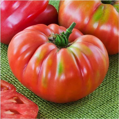 Miniatura 2 de Seed Needs Semillas de tomate alemán Johnson para plantar reliquia y sin OMG, 1 paquete