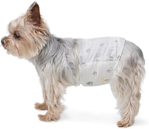 Amazon Basics Pañales para perros machos, 30 unidades, XS, ultra absorbentes, desechables, con ajuste seguro, a prueba de fugas y cómodos