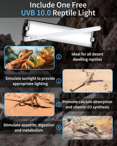 Miniatura 6 de LUCKY HERP T8 - Kit combinado de lámpara para reptiles de 15 W (nueva actualización), lámpara de reptil UVB con tubo fluorescente Desert UVB 10.0