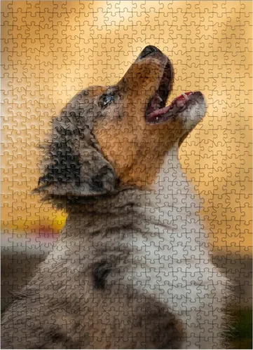 Miniatura 7 de MyPuzzle Aussi Puppy - Rompecabezas prémium de 100 piezas, fabricado en Estados Unidos