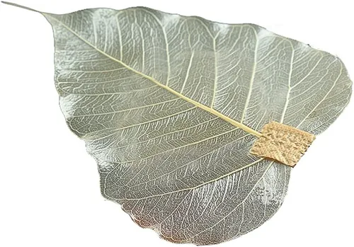 Accesorios de café Infusor de té en forma de hoja Colador de té Colador de acero inoxidable verde