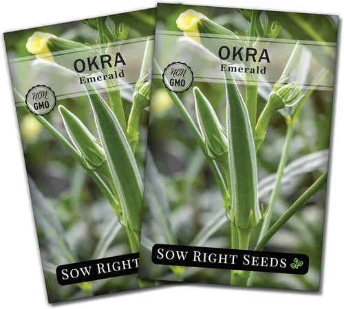 Miniatura 7 de Sow Right Seeds - Semillas de okra esmeralda para plantar - Paquete de reliquia sin OMG con instrucciones para plantar un huerto casero - Cápsulas