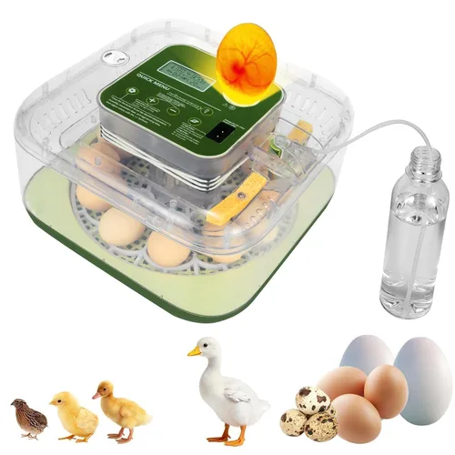 Miniatura 10 de Gen III - Incubadora automática de 24 huevos, humedad adaptativa basada en etapas con recarga automática, control de temperatura estable, espaciado
