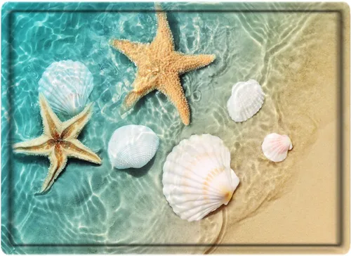 Miniatura 8 de LYFANS Alfombras de baño de espuma de esponja absorbente suave para baño y cocina (30 x 17 pulgadas), tapete de franela antideslizante brillante