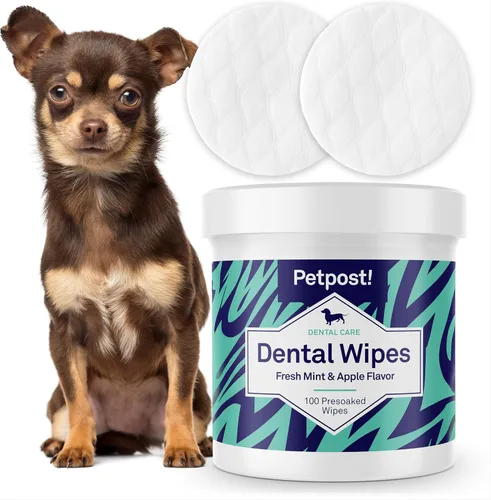 Miniatura 9 de Petpost Fresh Breath Foam for Dogs - Solución dental con sabor a menta y manzana que elimina el mal aliento - Tratamiento de limpieza dental