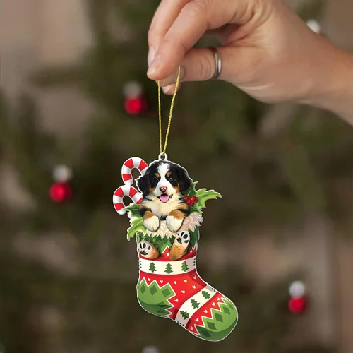 Miniatura 5 de Adorno acrílico plano de Navidad para perro de montaña bernés, adorable cachorro de montaña bernés en calcetín con bastones de caramelo, decoración