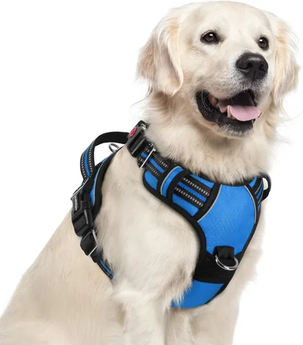 Miniatura 51 de rabbitgoo Arnés para perro de tamaño pequeño, chaleco para perro sin tirones con 3 hebillas, arnés ajustable y acolchado suave para mascotas con asa
