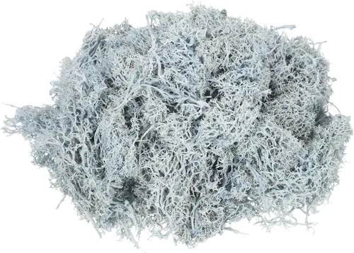 Miniatura 16 de MECCANIXITY Musgo de reno preservado de 4.6 onzas, musgo artificial decorativo gris para plantas en maceta, manualidades de interiores, centros