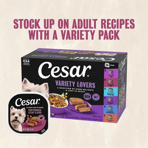 Miniatura 13 de Cesar - Comida húmeda para perros amantes de los filetes, para adultos, comida húmeda para perros con carne real, bandejas de 3.5 onzas fáciles