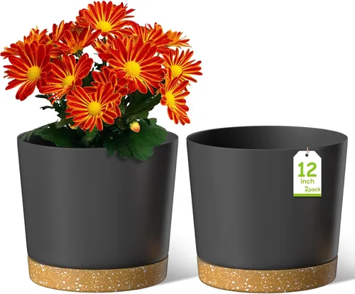 Miniatura 9 de ZMTECH Macetas para plantas, juego de 6 macetas de plástico de riego automático de 6.5 pulgadas con orificio de drenaje y platillo, maceta