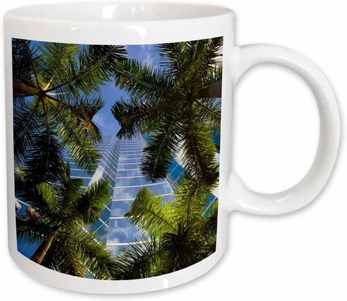 Miniatura 12 de 3dRose Estados Unidos, Florida, Miami, Brickell Avenue, edificios de gran altura. Taza negra de dos tonos de 11 oz Negro