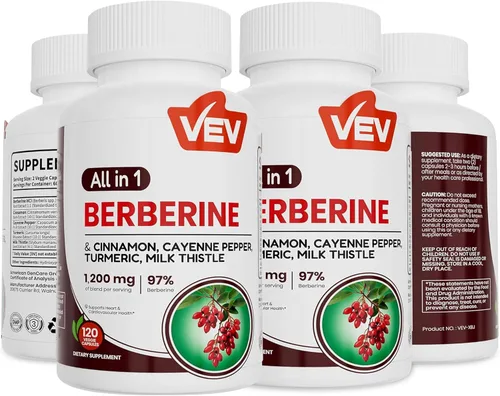 VEV Berberine Supplement with Ceylon Cinnamon for Daily Wellness Support, Vegan & Non-GMO – 2 Bottles (240 Capsules Total)