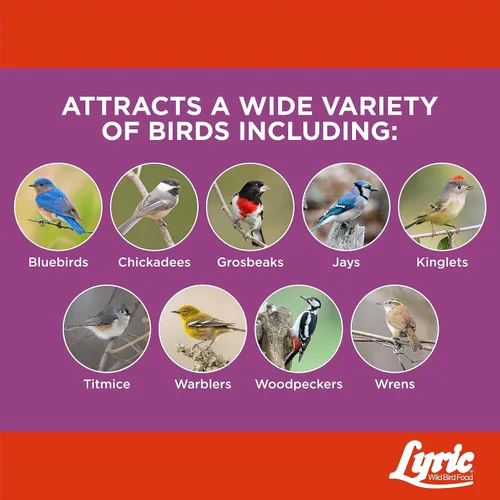 Miniatura 5 de Lyric Delite - Pasteles de sebo de semillas de aves silvestres con alto contenido de proteínas para aves silvestres, 12 onzas (paquete de 12)