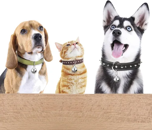 Miniatura 6 de Hotop - Paquete de 8 collares de perros, campanas pequeñas de gato, collar para cachorros, anillo colgante de decoración, accesorios colgantes