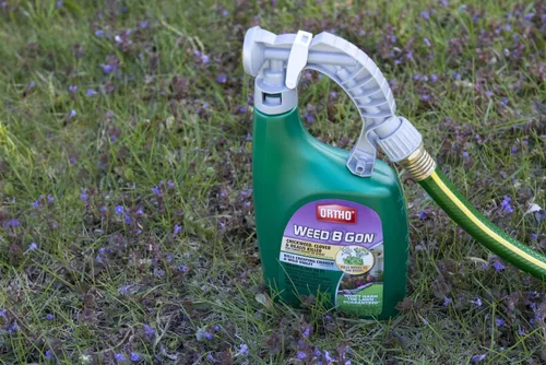Miniatura 5 de Ortho Weed B Gon Chickweed, Clover & Oxalis Killer para césped, 32 onzas (paquete de 2)
